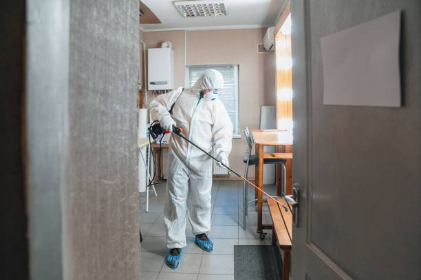 Best Emergency Mold Remediation  in North Braddock, PA