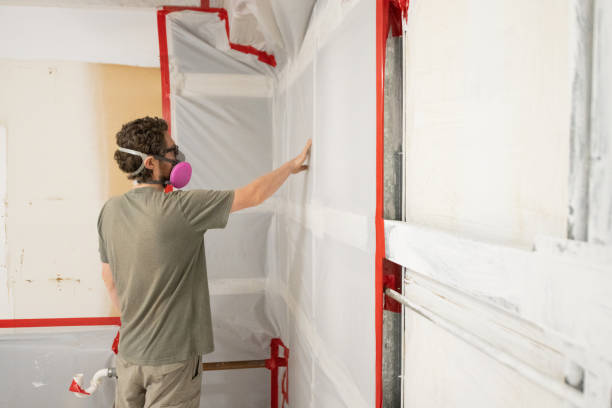 Mold Remediation for Vacation Homes in North Braddock, PA