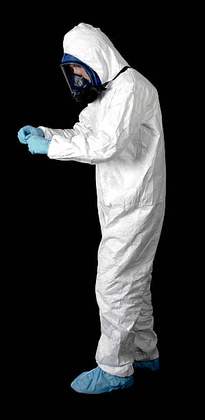 Best Mold Odor Removal Services  in North Braddock, PA